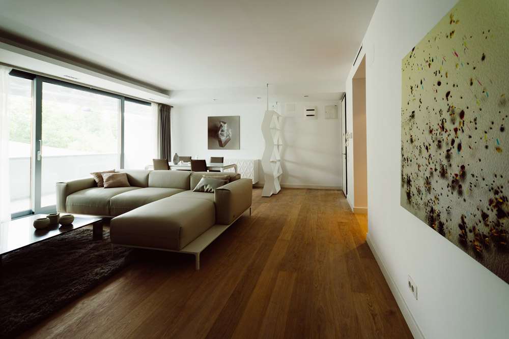 Vernescu Residence — imaginea 5